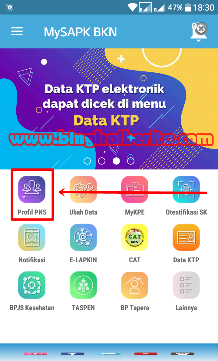 http apps.bkn.go.idprofil pns