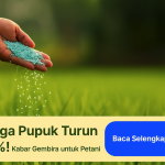 Harga Pupuk Turun