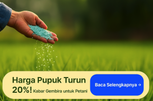 Harga Pupuk Turun